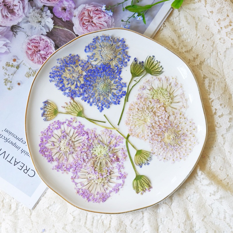 Dried Flower Bookmark - 12個入りプレスエメラルドパールフラワー、天然乾燥品、DIYクラフト、スマホケース、カード作り、ギフト、ブックマーク、美容装飾用