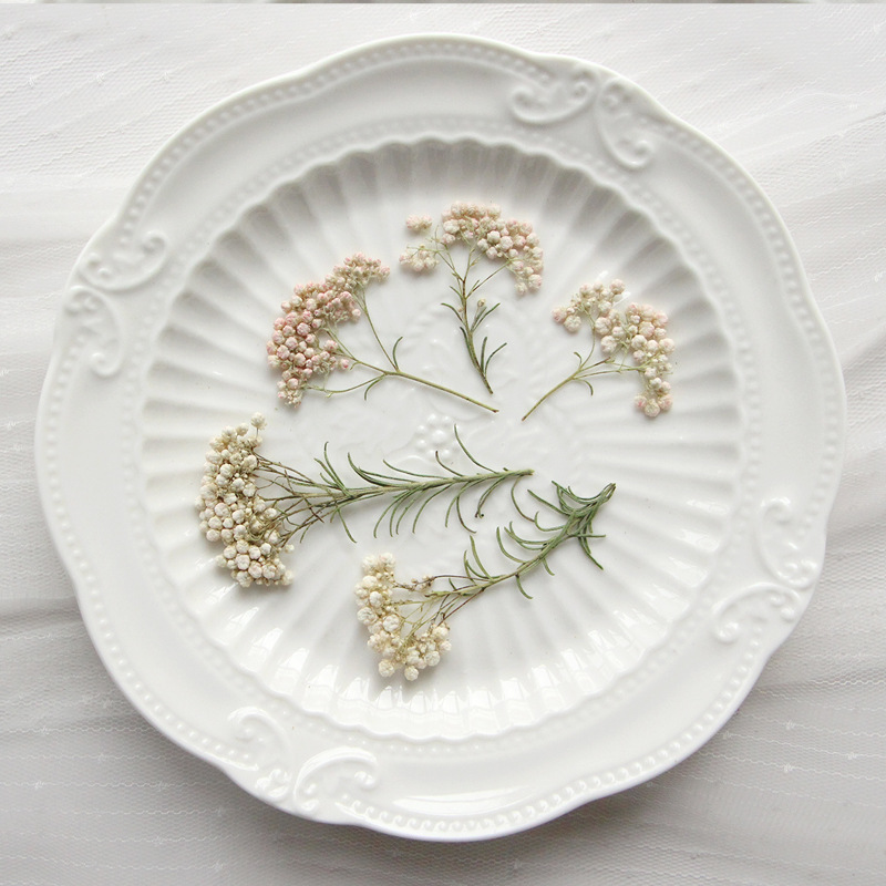 Dried Flower Bookmark - 12個入り、天然キビの花の枝、押し花DIY接着剤ドロップ携帯電話ケース植物フォトフレームフラワーブックマークデコレーション