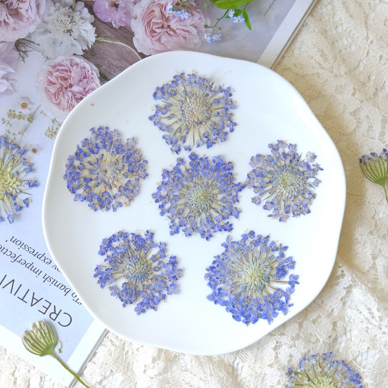 12個入りプレスエメラルドパールフラワー、天然乾燥品、DIY - Dried Flower Bookmark のレビューと価格